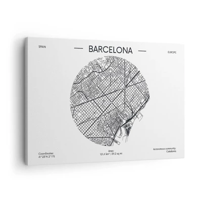 Obraz na plátně - Anatomie Barcelony - 70x50 cm