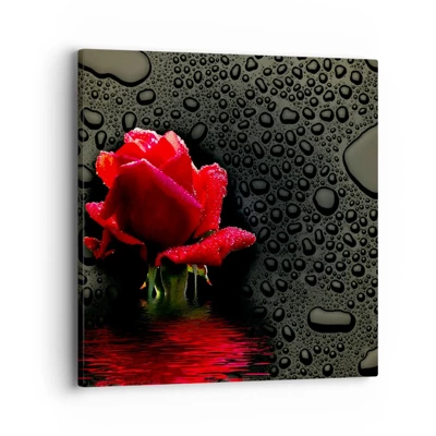 Obraz na plátně - Červené a černé - 40x40 cm