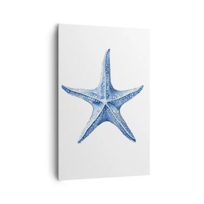 Obraz na plátně - Hvězda moře - 80x120 cm