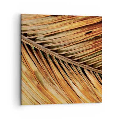 Obraz na plátně - Kokosové zlato - 70x70 cm