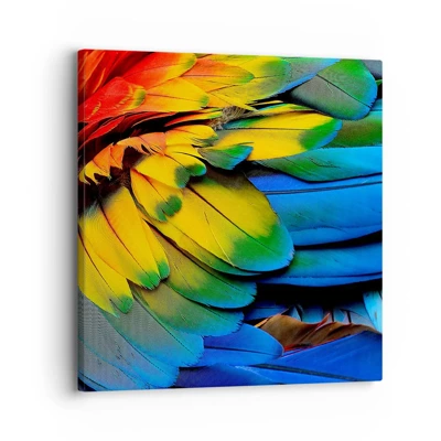 Obraz na plátně - Nebeský pták - 30x30 cm