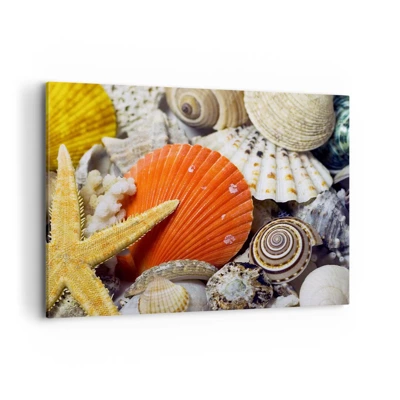 Obraz na plátně - Poklady oceánu - 100x70 cm