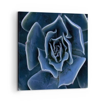 Obraz na plátně - Pouštní květ - 50x50 cm