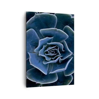 Obraz na plátně - Pouštní květ - 50x70 cm