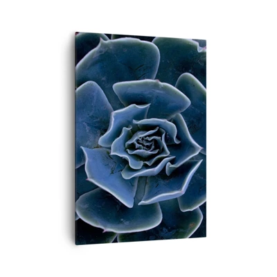Obraz na plátně - Pouštní květ - 70x100 cm