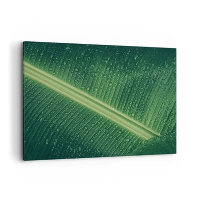 Obraz na plátně - Struktura zelené - 100x70 cm