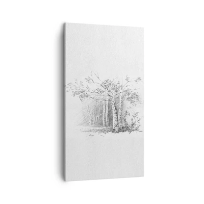 Obraz na plátně - Světlo březového lesa - 45x80 cm