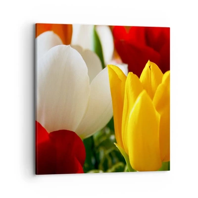 Obraz na plátně - Tulipánová horečka - 70x70 cm