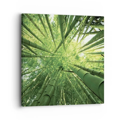 Obraz na plátně - V bambusovém háji - 40x40 cm