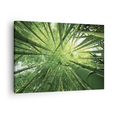 Obraz na plátně - V bambusovém háji - 70x50 cm