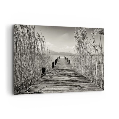 Obraz na plátně - V ústraní travin - 120x80 cm