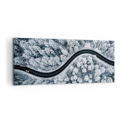 Obraz na plátně - Zimním lesem - 120x50 cm