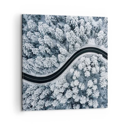 Obraz na plátně - Zimním lesem - 50x50 cm