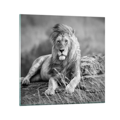 Obraz na skle - Královská siesta - 50x50 cm