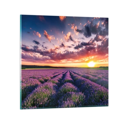 Obraz na skle - Levandulový svět - 70x70 cm