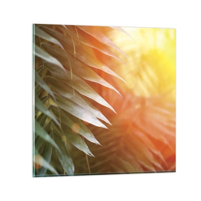 Obraz na skle - Ráno v džungli - 60x60 cm