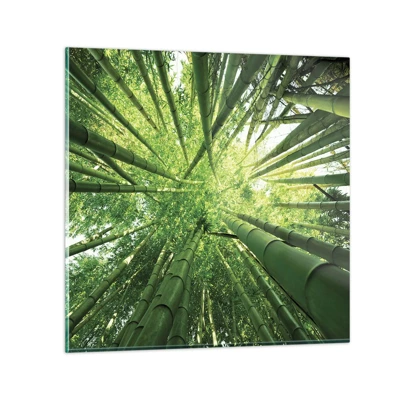 Obraz na skle - V bambusovém háji - 50x50 cm