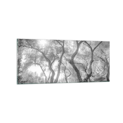 Obraz na skle - V olivovém háji - 120x50 cm