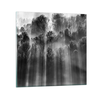 Obraz na skle - V paprscích světla - 40x40 cm