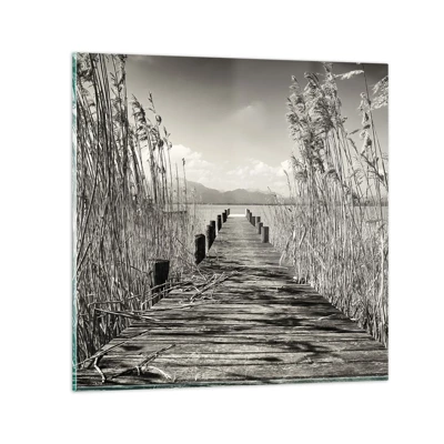 Obraz na skle - V ústraní travin - 30x30 cm