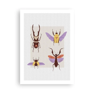 Plakát - Hmyzí svět - 50x70 cm