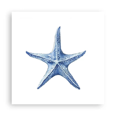 Plakát - Hvězda moře - 50x50 cm