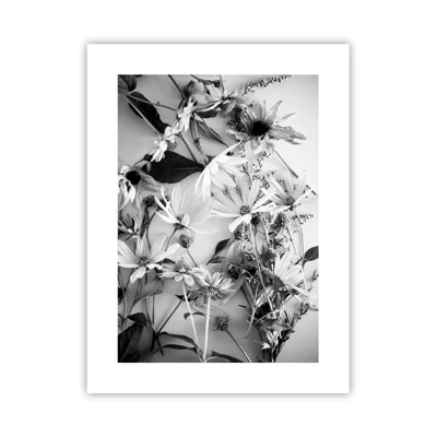 Plakát - Květiny bez kytice - 30x40 cm