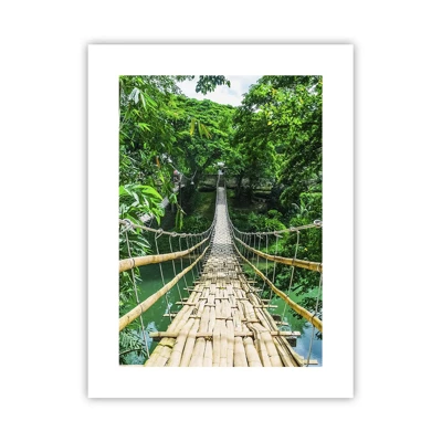 Plakát - Opičí most nad zelení - 30x40 cm