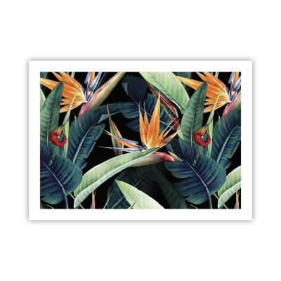Plakát - Plamenné květy tropů - 70x50 cm