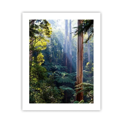 Plakát - Povídka lesa - 40x50 cm