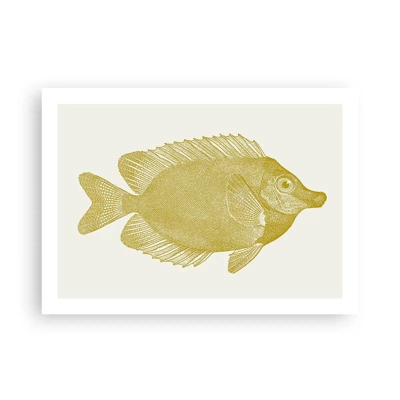 Plakát - Prostě ryba - 70x50 cm