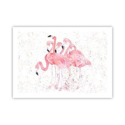 Plakát - Růžový ansámbl - 70x50 cm