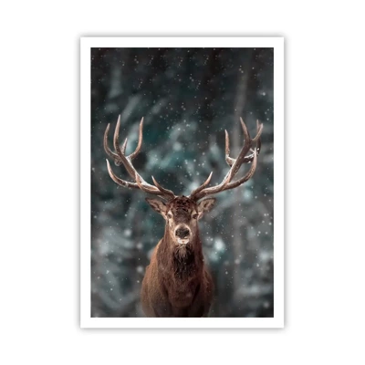 Plakát - Skutečný král lesa - 70x100 cm