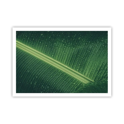 Plakát - Struktura zelené - 100x70 cm