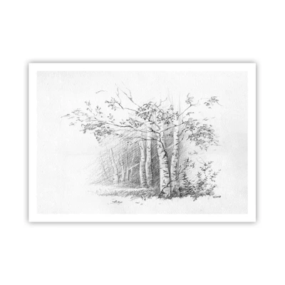 Plakát - Světlo březového lesa - 100x70 cm