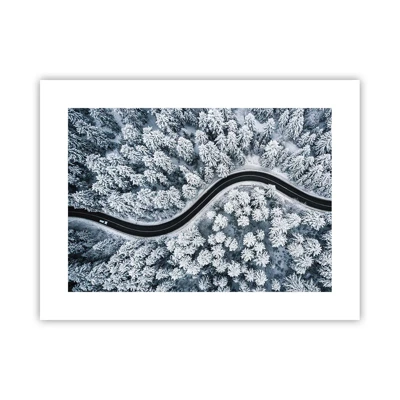 Plakát - Zimním lesem - 40x30 cm