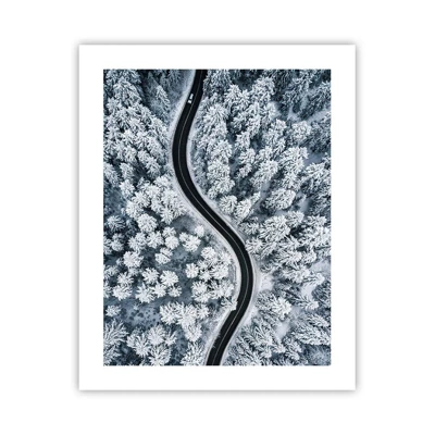 Plakát - Zimním lesem - 40x50 cm