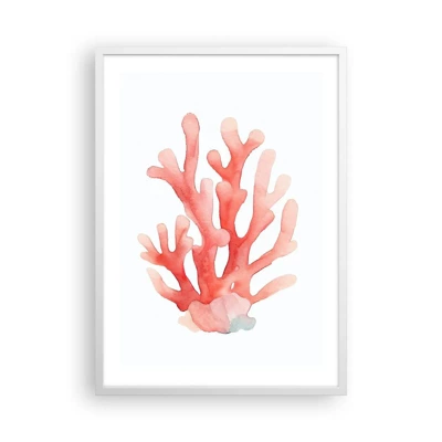 Plakát v bílém rámu - Korálový korál - 50x70 cm