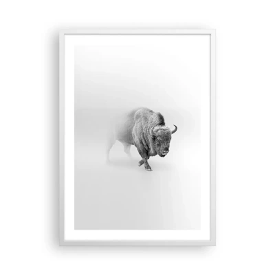 Plakát v bílém rámu - Král prérie - 50x70 cm