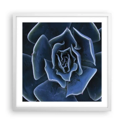 Plakát v bílém rámu - Pouštní květ - 50x50 cm