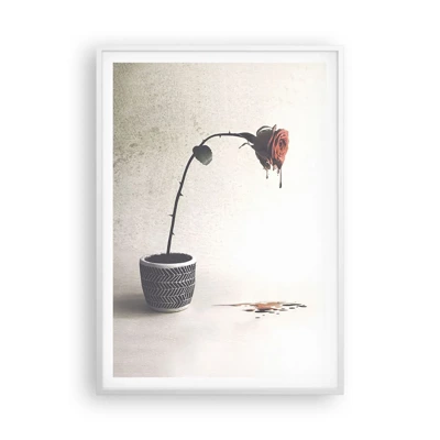Plakát v bílém rámu - Rosa dolorosa - 70x100 cm