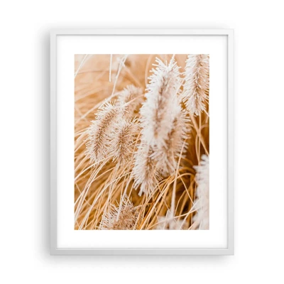 Plakát v bílém rámu - Zlaté šustění travin - 40x50 cm