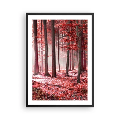 Plakát v černém rámu Arttor 50x70 cm - Les, Červené, Stromy, Do obývacího pokoje, Do ložnice, Bílá, Hnědá, Svislé, P2BPA50x70-4944
