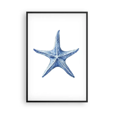 Plakát v černém rámu - Hvězda moře - 61x91 cm