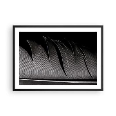 Plakát v černém rámu - Peří – nádherná konstrukce - 70x50 cm