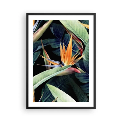 Plakát v černém rámu - Plamenné květy tropů - 50x70 cm
