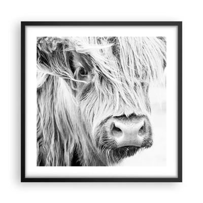Plakát v černém rámu - Skotská divokost - 50x50 cm