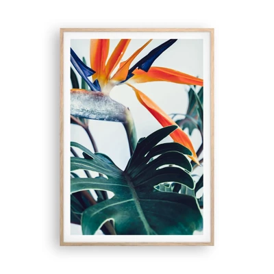 Plakát v rámu světlý dub - Ptákeř - 70x100 cm