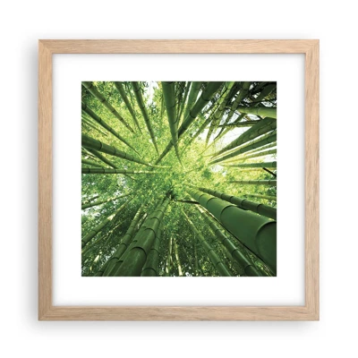 Plakát v rámu světlý dub - V bambusovém háji - 30x30 cm