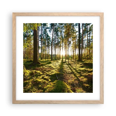 Plakát v rámu světlý dub - …Za sedmero lesy - 40x40 cm